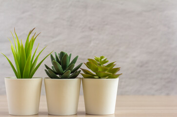 Several small pots with artificial succulents on a light table or shelf against the wall in the room.Copy of the space.