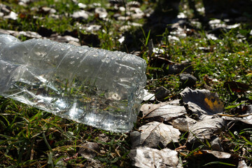 The human being and pollution in the environment