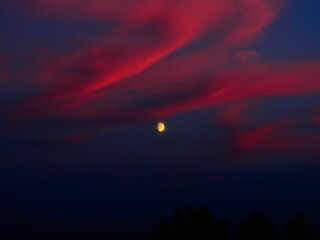 sunset in the sky. The photo will fit well into the interior and for gift cards. sunset, sky, sun, clouds, cloud, nature, sunrise, orange, red, landscape, light, blue, beautiful, night