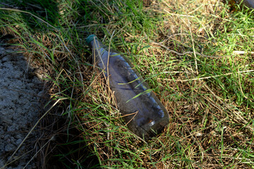 The human being and pollution in the environment