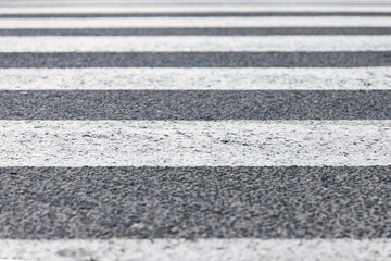 Zebra crossing painted on the asphalt of the road