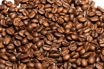 Roasted coffee beans background. Roasted seeds on white background. Copy space 