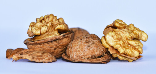 Walnuss, Juglans regia, walnut