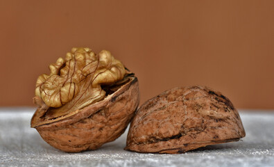 Walnuss, Juglans regia, walnut