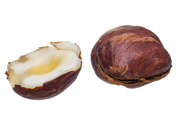 Hazelnut isolated closeup without shell as package design element collection on white background. Nut macro. Hazelnut kernels. Full depth of field.