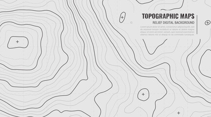 Stylized Height of Topographic Contour in Lines. Concept of a Conditional Geography Scheme and Terrain Path. Vector illustration. Abstract Vector illustration in Grey Colors. - obrazy, fototapety, plakaty