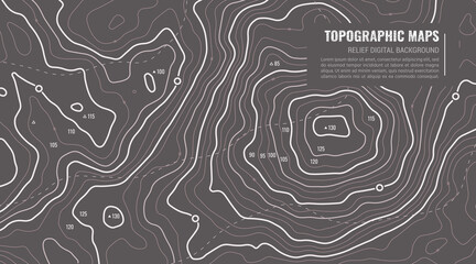 Geographic Topographic Map Grid. Topography Map Background. Vector Web Banner in Grey Colors. - obrazy, fototapety, plakaty