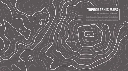 Foto op Canvas Geographic Topographic Map Grid. Topography Map Background. Vector Web Banner in Grey Colors. © tashatuvango
