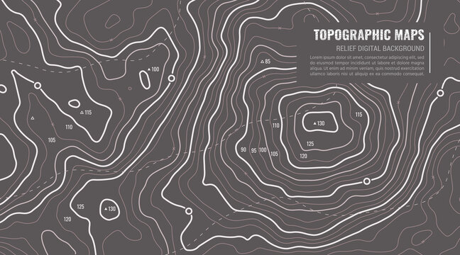 Geographic Topographic Map Grid. Topography Map Background. Vector Web Banner in Grey Colors.