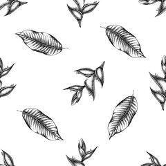 Seamless pattern with black and white heliconia