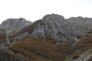 Las Salas. León. Castilla y León. 