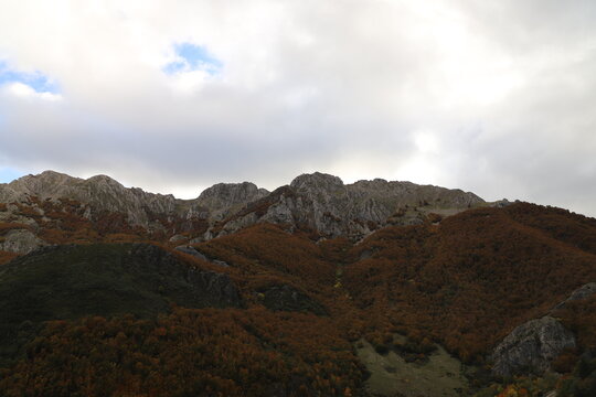 Castilla y Le&oacute;n. Le&oacute;n. Las Salas. En oto&ntilde;o, la vi&ntilde;a virgen enrojece frente a los &aacute;rboles que se desnudan. (Sylvain Tesson)