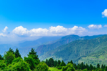 Fototapeta na wymiar View enroute to Prashar Lake trekk trail. It is located at a height of 2730 m above sea level surrounded by lesser himalayas peaks of Shivalik & Pir panjal near Mandi, Himachal Pradesh, India.
