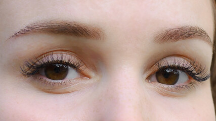 Fototapeta premium Concept of beauty and fashion. Banner women's eyes with long false eyelashes. Macro snapshot.