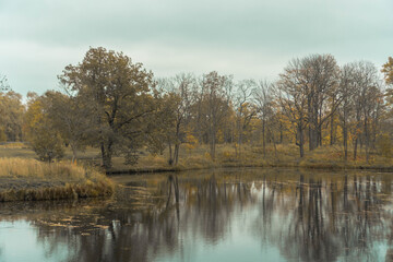 Fototapeta na wymiar autumn trees near a small lake