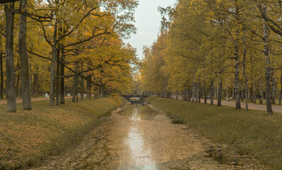 Autumn park, view from the bridge