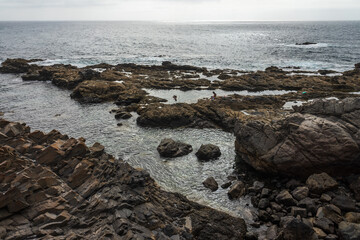 Rocky coast of the Atlantic Ocean. Fuerteventura. Canary Islands. Spain.