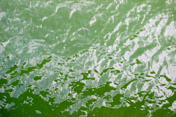 Green water background texture gradient top view