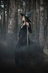 Naklejka premium Halloween holiday witch Lady in Mystical atmosphere, , witchcraft concept, ideas for Party 