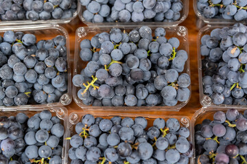 Concord grapes at the farmers market, horizontal shot looking down