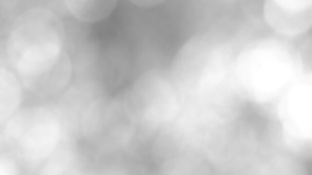 Blurred black and white abstract 4k video bokeh of blinking defocused shiny particles of natural tree foliage isolated on sunny sky background. 
