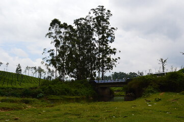 Obraz premium bridge over water