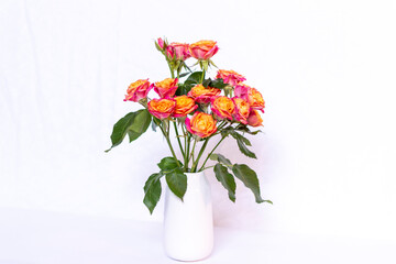 Fototapeta na wymiar Small Pink and Orange Cut Roses in White Vase