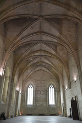 Voûtes du palais des Papes à Avignon, France