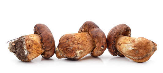 Three brown mushrooms.