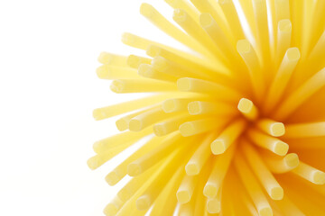 パスタの断面（キタッラ）