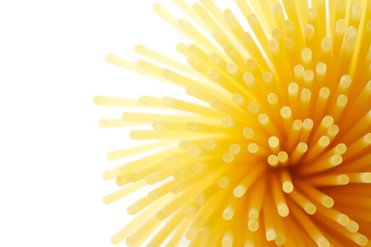 パスタの断面（細打ちパスタ、フェデリーニ）