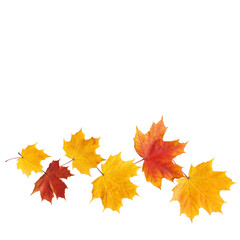 Naklejka na ściany i meble Autumn leaves isolated