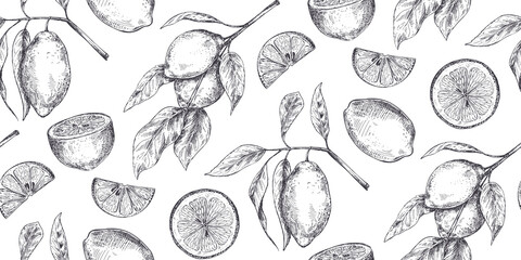 Vector seamless pattern with hand drawn fresh lemon tree branches, fruits and flowers in sketch style. - obrazy, fototapety, plakaty