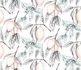 Fototapety  Vector seamless pattern with hand drawn fresh lemon tree branches, fruits and flowers in sketch style.