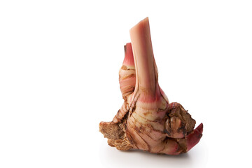 Fresh galangal isolated on white background