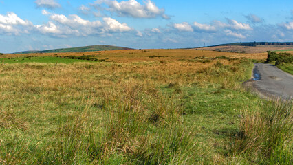 Obraz premium On the top of the moor, sunny autumn morning