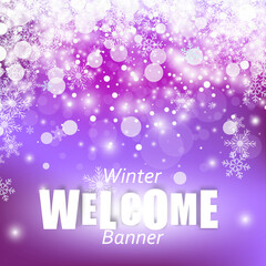 Christmas winter background with snowflakes, snow vector background. eps10