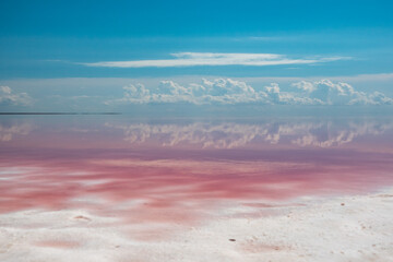Pink salt lake coast with white salt, bloody pink water and mirror reflection of clouds and blue sky