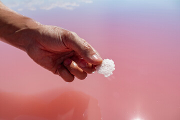 Hand fingers holding pink white salt flake crystal formation near pink vibrant lake reflective water surface. Spa resort sunny close-up on Syvash, Ukraine