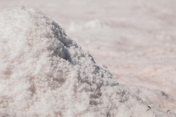 Pink salt bunch close-up shining on coast of salt lake. Spa recreation on  Syvash or Sivash, the Putrid Sea or Rotten Sea, Ukraine