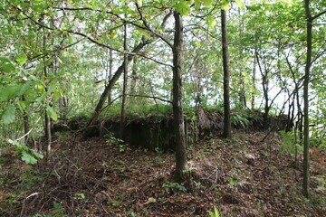 Nazi bunkers on the training ground, Sowie góry Poland
