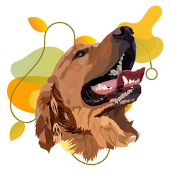 Golden Labrador Retriever on a popular background. Vector image