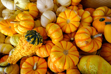 Assortment of colorful gourds in a bin at a farmer's market