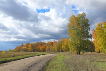 Field road and forest edge in autumn in Russia