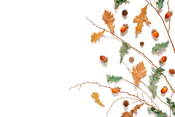 Autumn composition. Dried yellow and green leaves, acorns and tree branches are on a white...