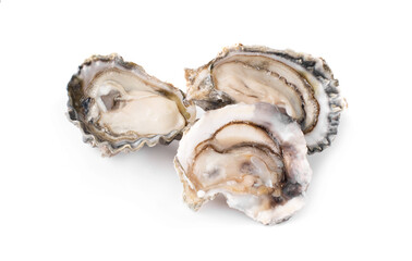 Fresh oyster isolated with shadow on white background. Clipping path.