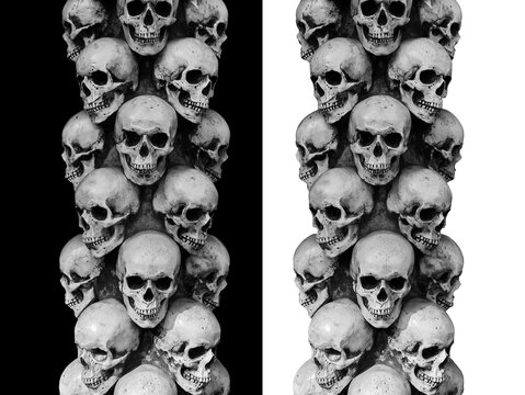 Many human skulls isolated on white and black background.