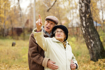 Fototapeta premium cute elderly couple walking in the Park