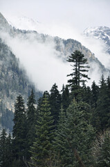 snow covered mountains in winter