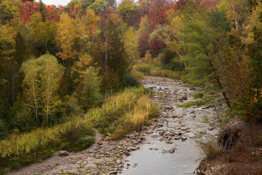 Rouge Valley Urban National Park